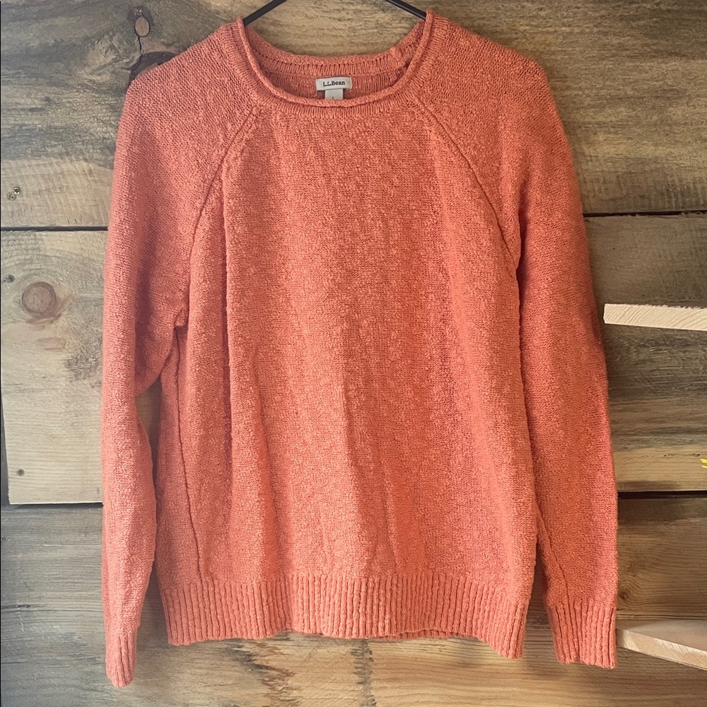L.L. Bean Knit Crew Neck Sweater